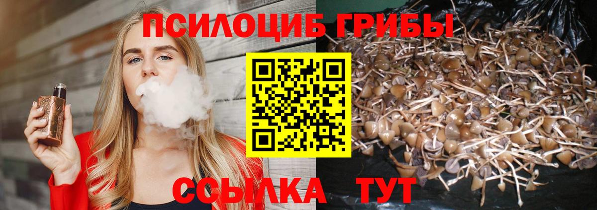 Псилоцибиновые грибы GOLDEN TEACHER Прокопьевск