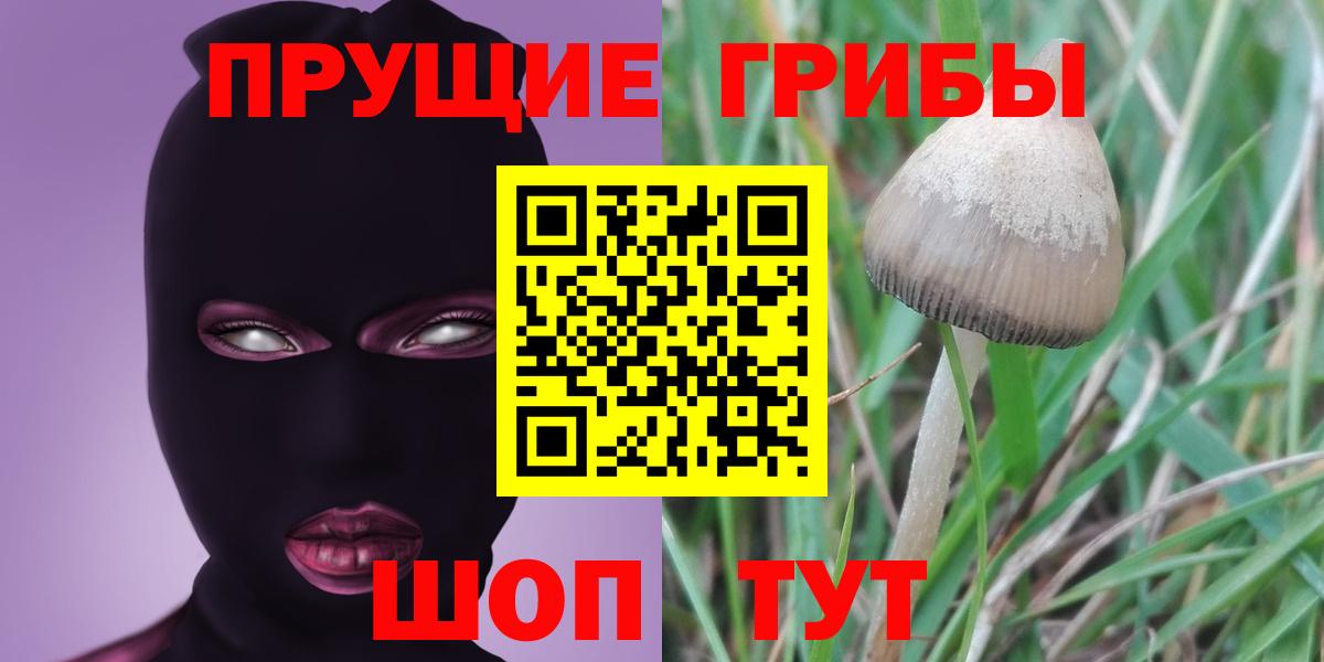 Прокопьевск  Псилоцибиновые грибы мухоморы  Вход с VPN  Галлюциногенные грибы ЛСД 